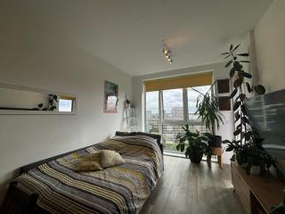 Leafy Penthouse Studio Flat Clapham Junction - 0