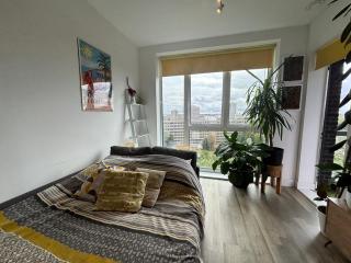 Leafy Penthouse Studio Flat Clapham Junction - 4