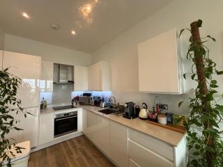Leafy Penthouse Studio Flat Clapham Junction - 9
