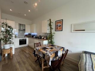 Leafy Penthouse Studio Flat Clapham Junction - 7