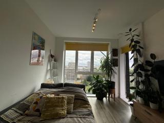 Leafy Penthouse Studio Flat Clapham Junction - 3
