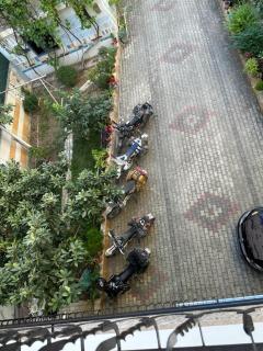 Guesthouse Alemannia - 8