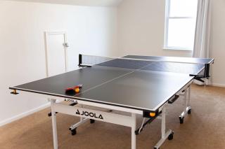 Heron Hideaway Game Room within walking distance to HWS & Seneca Lake - 7