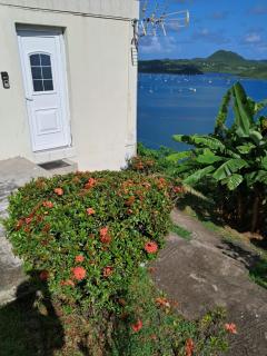 Studio du PARADIS - 8