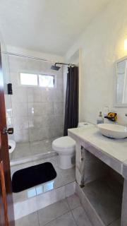 Apartamento rustico con alberca en versalles - 3