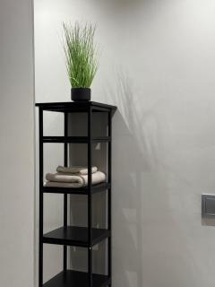 Luxury Apartment in sandton CBD - 7