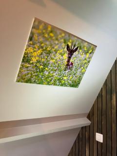 Chalet Tournesol Durbuy - Durbuy - 4