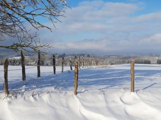 Chalet Tournesol Durbuy - 4