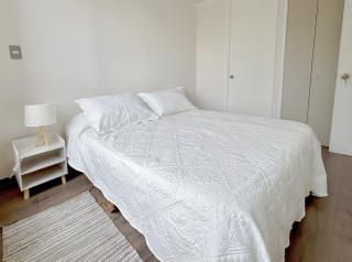 Nuevo Departamento y Moderno al frente del Estadio Nacional - 4