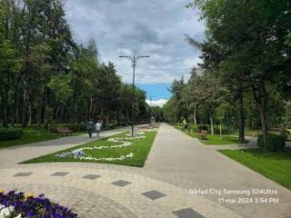 TheHome - 1