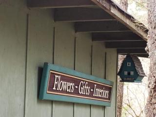 Mt Rainier Little Green Cabin On Big Creek! - 4