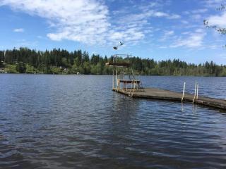 Unique Waterfront Cottage 34 Mi To Mt Rainier - 9