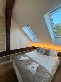 Sky - New apartment in the center of Neuchâtel - 1