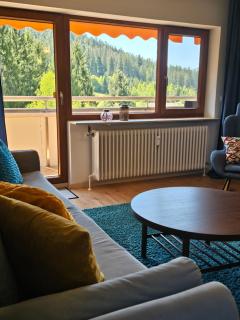 Ferienwohnung Tannenballett im Schwarzwald - 8