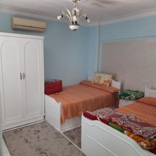 الاسكندريه - 1