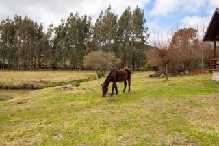 Sitio da Neblina - Urubici/SC - 3