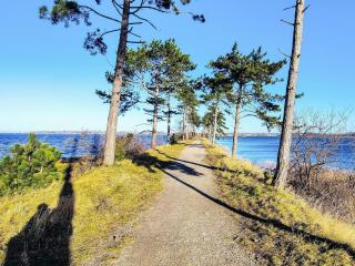 5 person holiday home in Jægerspris-By Traum - 4