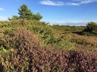 5 person holiday home in Føllenslev-By Traum - 4