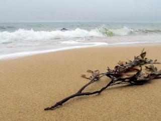 4 person holiday home in Gilleleje-By Traum - 2