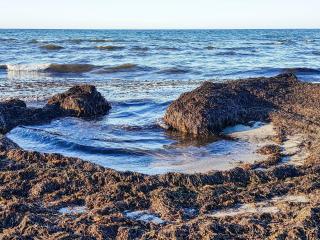 Cozy Retreat in Ellinge Lyng - By Traum Ferienwohnungen - 3