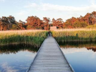Cozy Retreat in Ellinge Lyng - By Traum Ferienwohnungen - 5