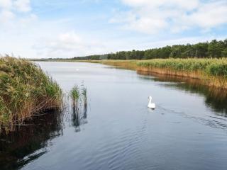 Cozy Retreat in Ellinge Lyng - By Traum Ferienwohnungen - 4