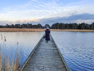 Cozy Retreat in Ellinge Lyng - By Traum Ferienwohnungen - 2