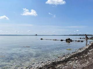 Charming Retreat by Water - By Traum Ferienwohnungen - 4