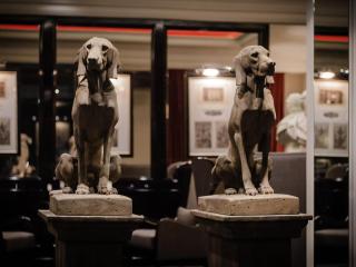 Park Hotel Grenoble - MGallery Collection - 4