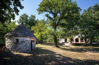 Apartments with parking space Sveti Lovrec, Central Istria - Sredisnja Istra - 24888 - 7