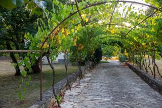 Apartments with parking space Sveti Lovrec, Central Istria - Sredisnja Istra - 24888 - 6