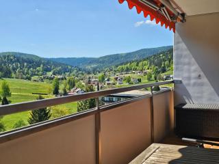 Ferienwohnung Vogelnest mit weitem Blick über den Schwarzwald - 5