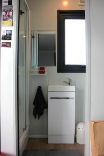 Night Sky Magic in Olive Grove - 5