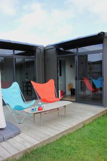 Night Sky Magic in Olive Grove - 4