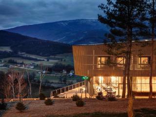 Tarcin Forest Resort & Spa Sarajevo - MGallery Collection - 9