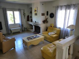 Villa in Vidauban with Pool and BBQ Terrace - 1