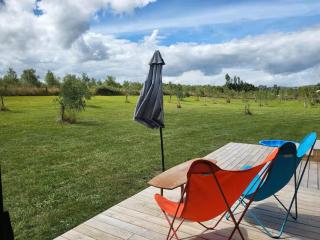 Night Sky Magic in Olive Grove - 8