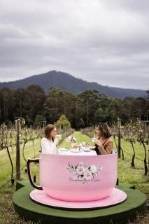The Dairy at Cambewarra Estate Winery - 4