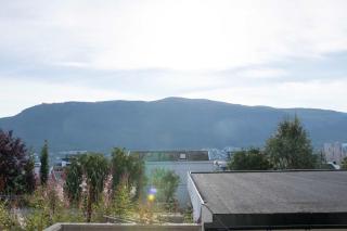 Arctic View 2-Bedroom Apartment - 3