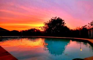 Luxury Living with Pool at 911 Blue Sky Drive - Arlington - 0
