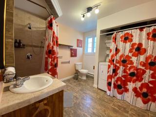 La petite maison sur l'Isle - spa - 1