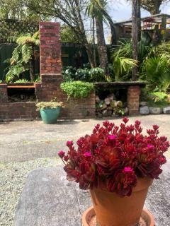 The Station House Motel - 6