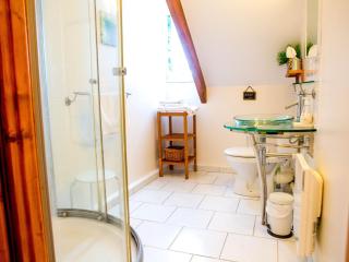 Chambre Sarcelle au manoir près de la Loire - FR-1-590-317 - 6