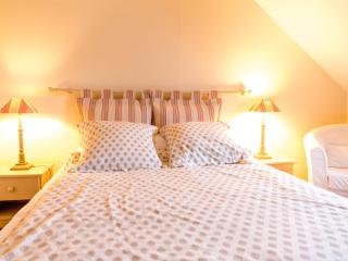 Chambre Sarcelle au manoir près de la Loire - FR-1-590-317 - 4