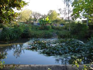 Chambre d'hôtes avec charme discret, à la ferme - FR-1-591-673 - 1