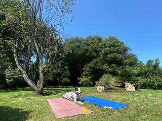 Casa San Pablo - 6