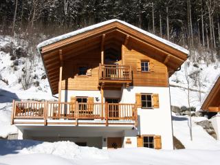 Chalet in Königsleiten near Ski Bus, Pool - 4