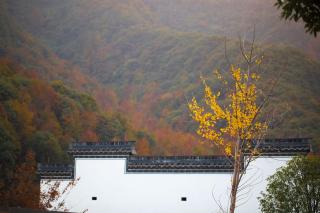 Pusen Lanting Shaoxing - 5