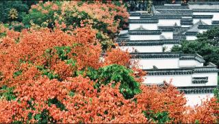 Pusen Lanting Shaoxing - 6