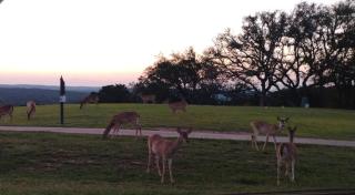 Cozy Getaway Near Lake Travis! - 6